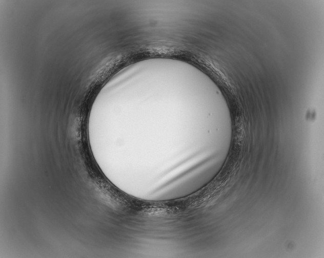X0000090700738200708101441