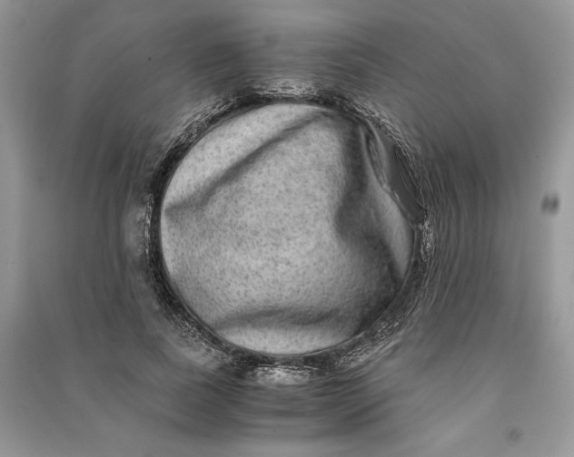 X0000090700739200708101441