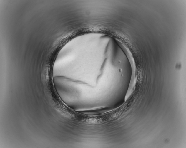 X0000090700740200708101441