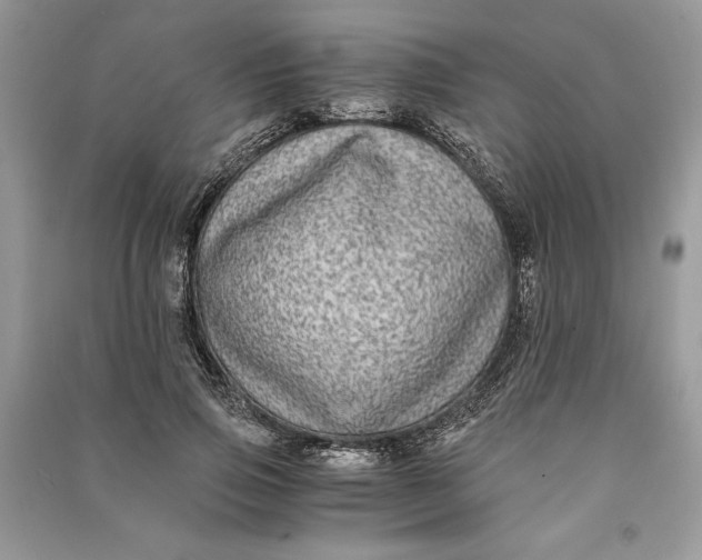 X0000090700741200708101441