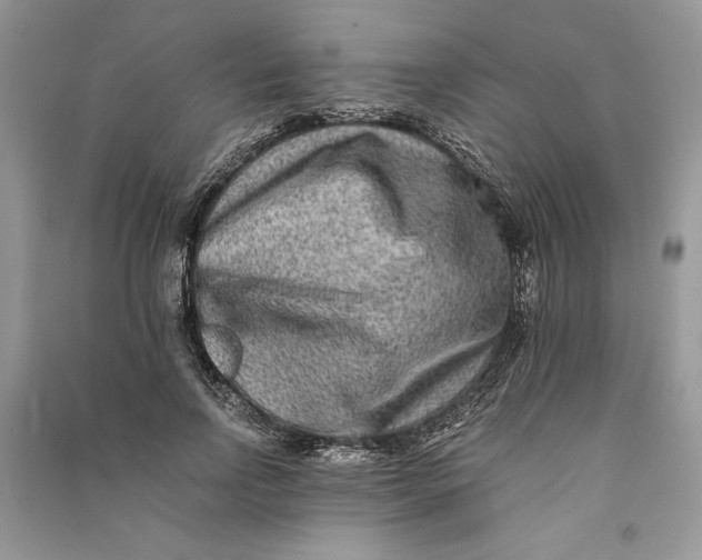 X0000090700742200708101441