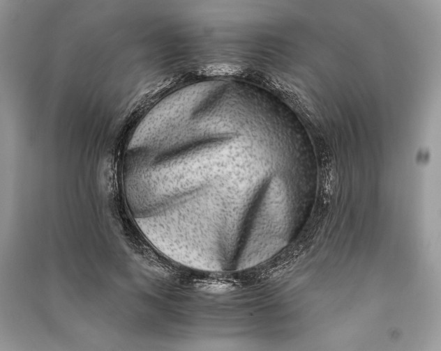 X0000090700743200708101441