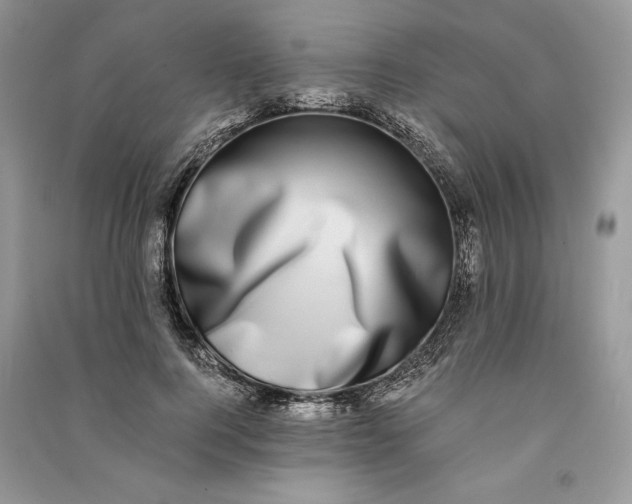 X0000090700744200708101441