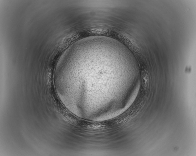 X0000090700745200708101441