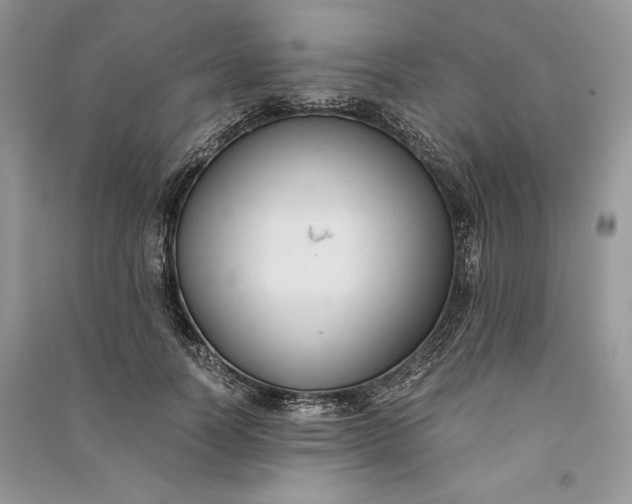X0000090700746200708101441
