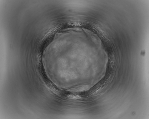 X0000090700747200708101441