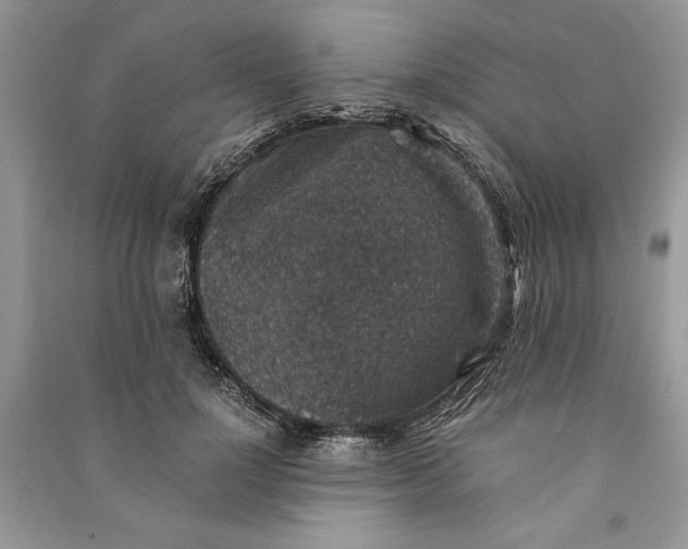 X0000090700748200708101441
