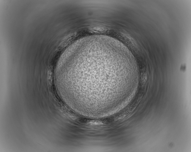 X0000090700749200708101441