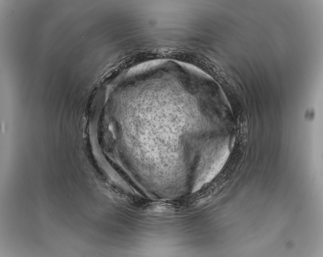 X0000090700750200708101441
