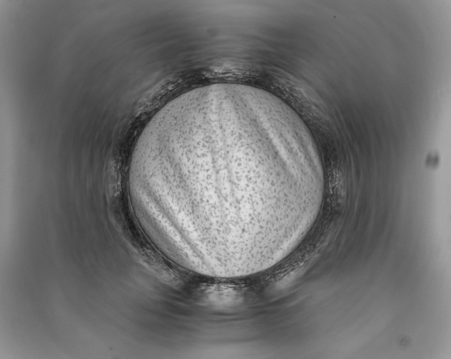 X0000090700751200708101441