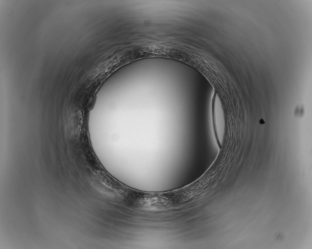 X0000090700752200708101441