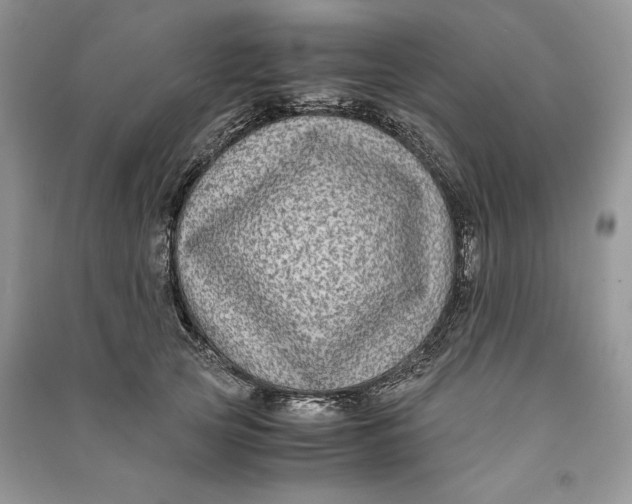 X0000090700753200708101441