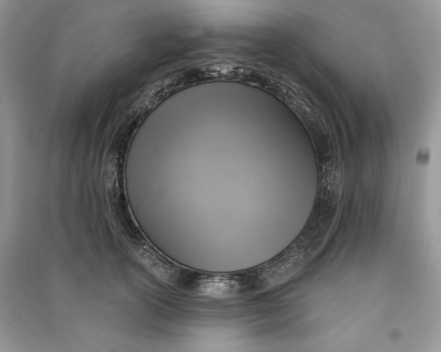X0000090700754200708101441