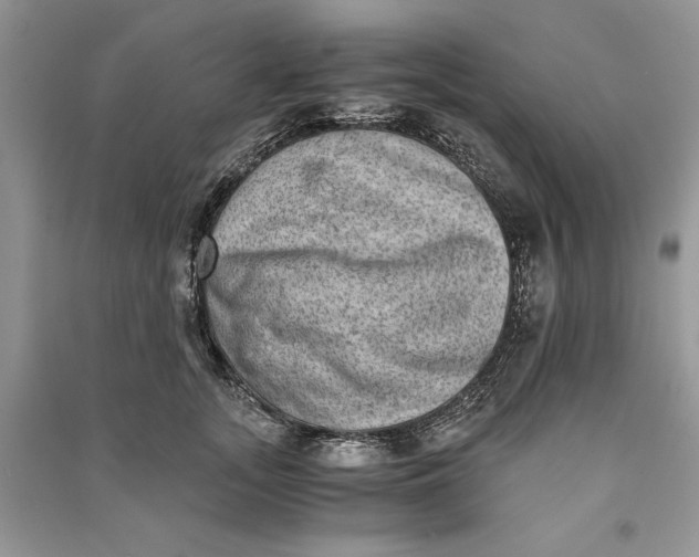 X0000090700755200708101441