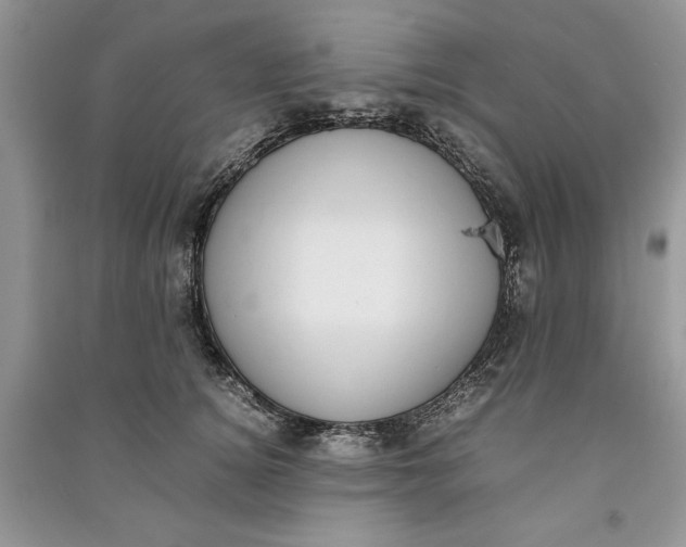 X0000090700756200708101441