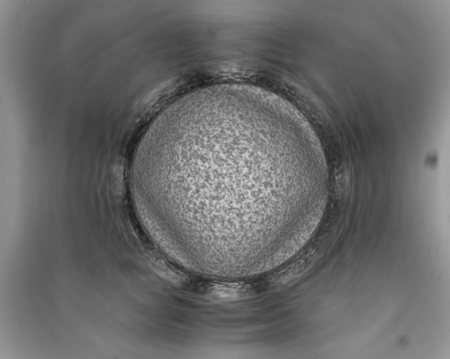 X0000090700757200708101441