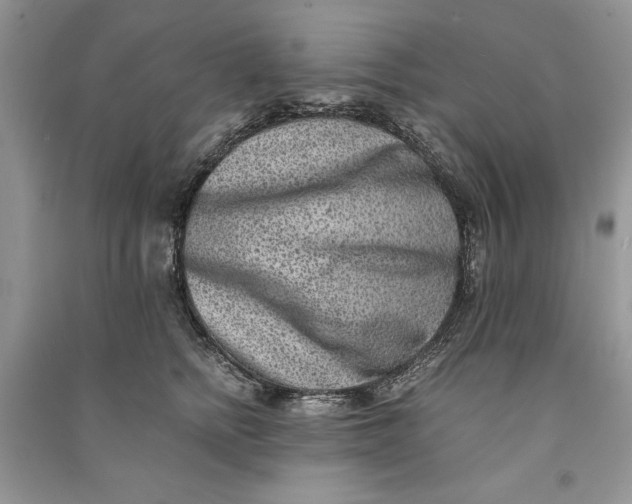 X0000090700758200708101441