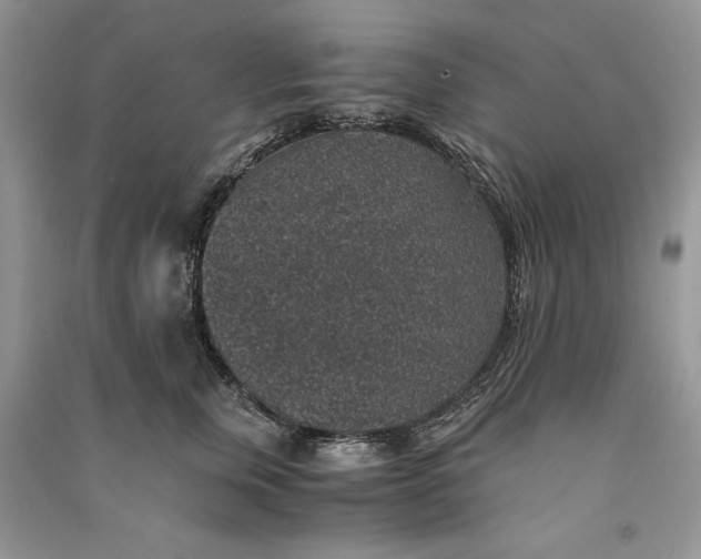 X0000090700759200708101441