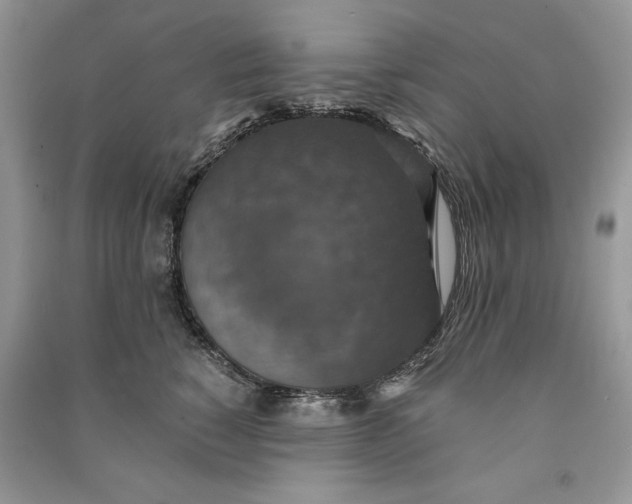 X0000090700760200708101441