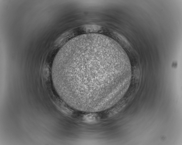 X0000090700761200708101441