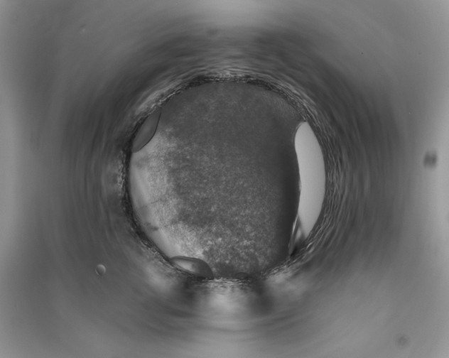 X0000090700762200708101441