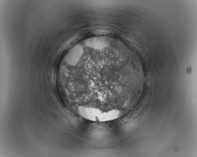 X0000090700763200708101441