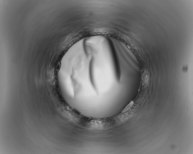 X0000090700764200708101441