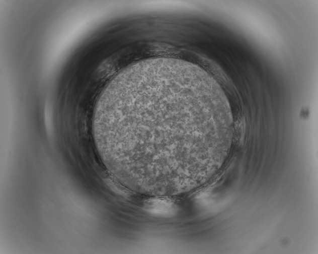 X0000090700765200708101441