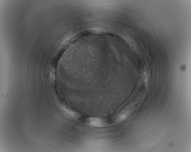 X0000090700766200708101441