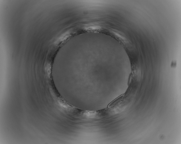 X0000090700767200708101442