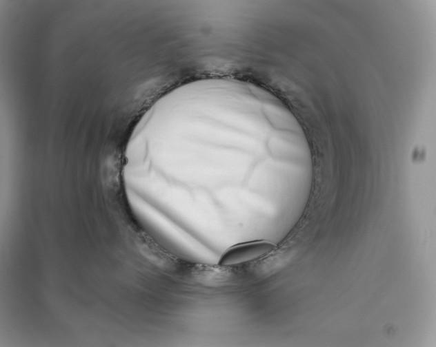 X0000090700768200708101442