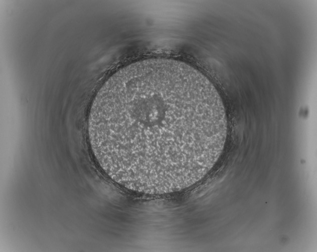 X0000090700769200708101441