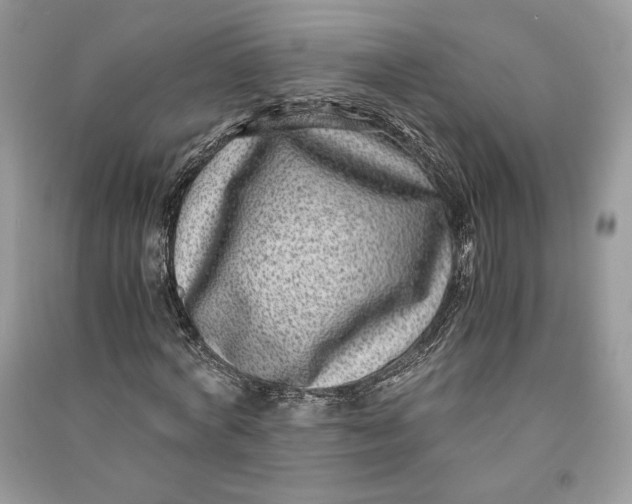 X0000090700772200708101441
