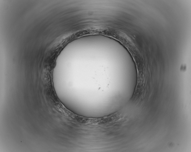 X0000090700773200708101441