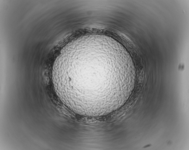 X0000090700774200708101441