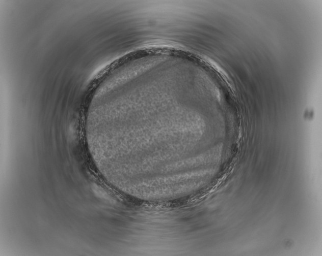 X0000090700775200708101441