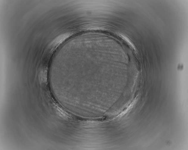 X0000090700777200708101441