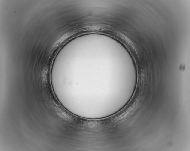 X0000090700778200708101441