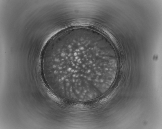 X0000090700779200708101441
