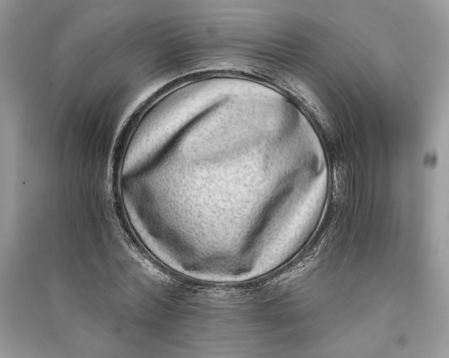 X0000090700780200708101441