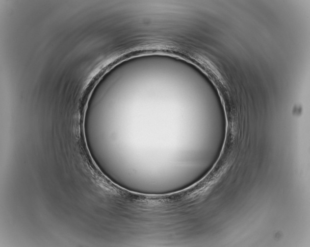 X0000090700781200708101441
