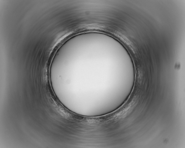 X0000090700782200708101441
