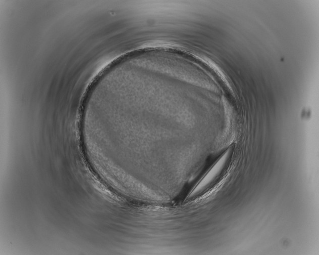 X0000090700783200708101441