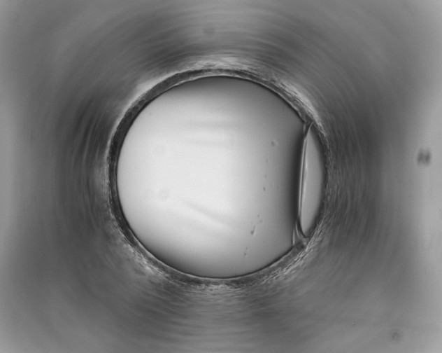 X0000090700784200708101441