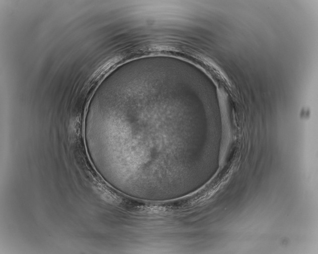 X0000090700785200708101441