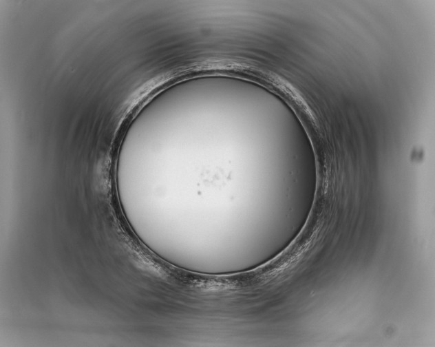 X0000090700786200708101441