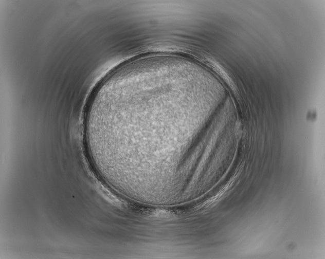 X0000090700787200708101441