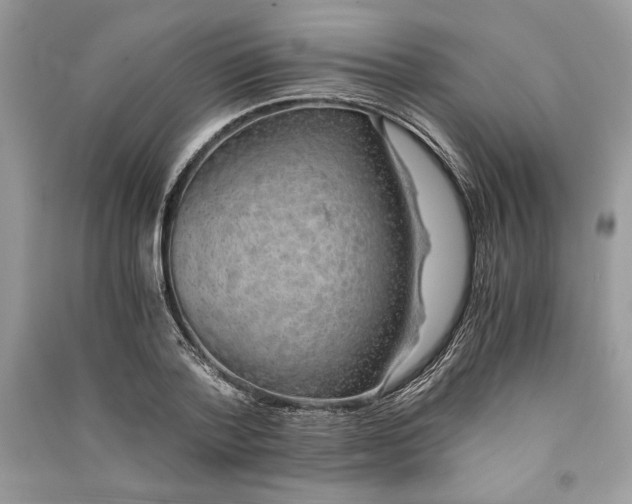 X0000090700788200708101441