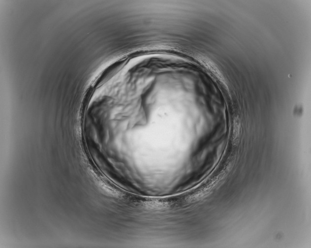 X0000090700789200708101441