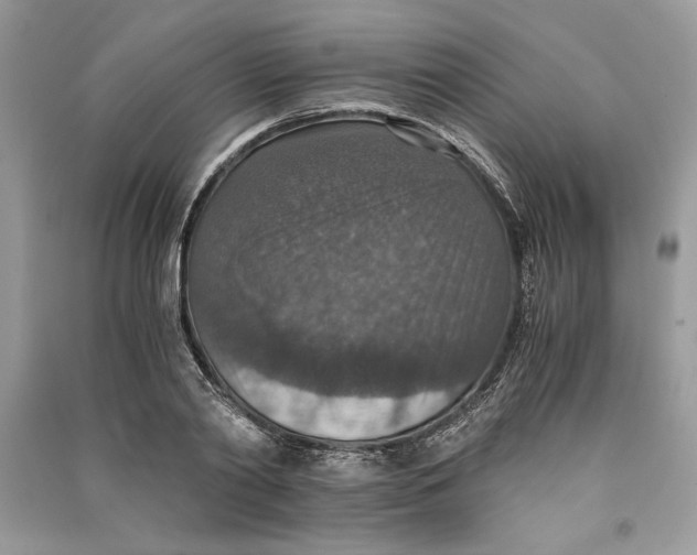 X0000090700790200708101441